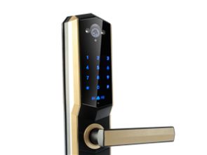 泊頭生活服務全攻略 搬家、醫療、送水、商家、工程車及計算機軟硬件服務指南